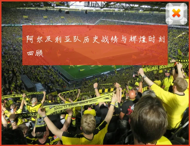 阿尔及利亚队历史战绩与辉煌时刻回顾