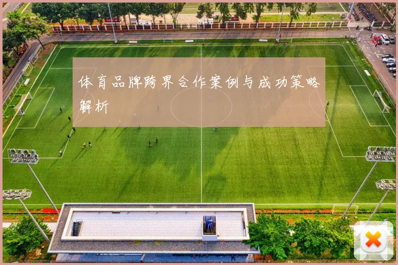 体育品牌跨界合作案例与成功策略解析